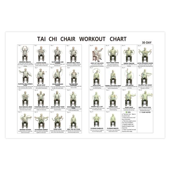 

30-Day Chair Tai Chi Exercise Poster for Seniors Canvas Print Practice Chart with Seated Poses Fitness Gift for Elderly Beginners Physical Therapy 30x45cm Male