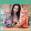Tom Cat 3d Plush Tiger Striped Cat Pillow With Soft Pp Cotton For Kids Bedroom Decor