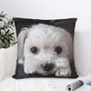 Cute Dog Maltese Pillow Case Print Pillow Cover Vintage Pillowcases For Office Car Home Decor