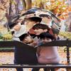 1 PC Automatic Folding Umbrella - Cha Eunwoo Pattern Portable Foldable Design With 8 Ribs Christmas Birthday Gifts