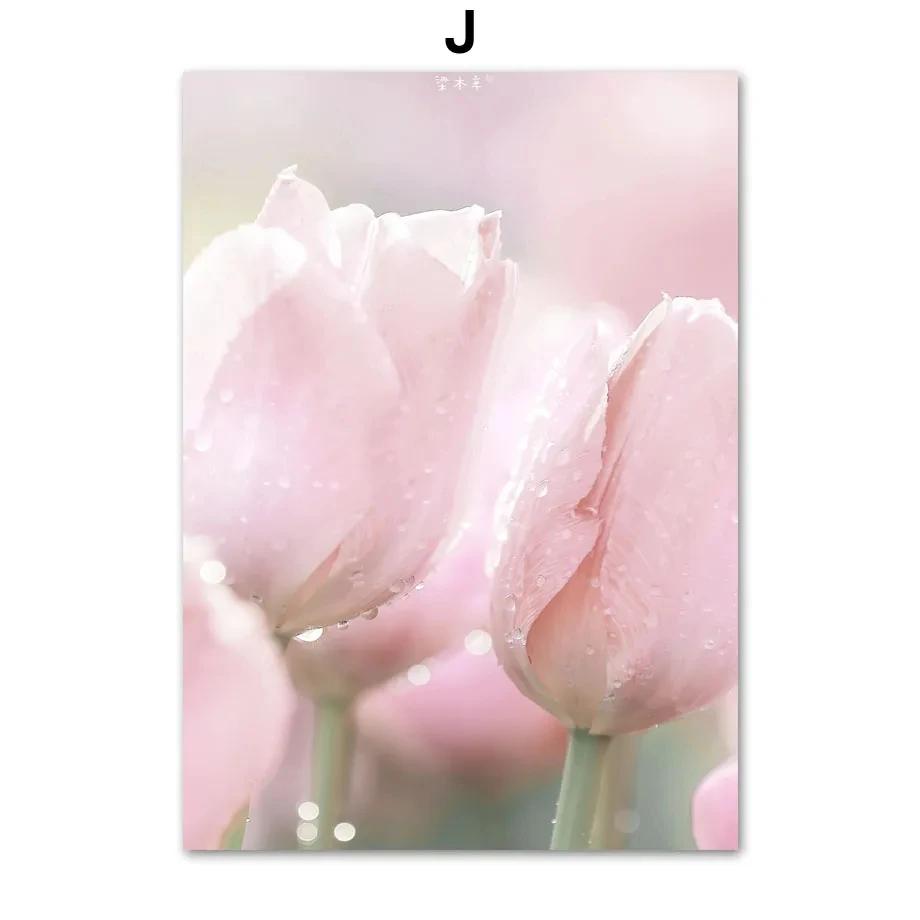 

Розовые Сакура Роза Тюльпан Цветок Пейзаж Холст Картина Настенное Искусство, Скандинавские Постеры и Принты, Картины для Декора Гостиной 21x30cm No Framed