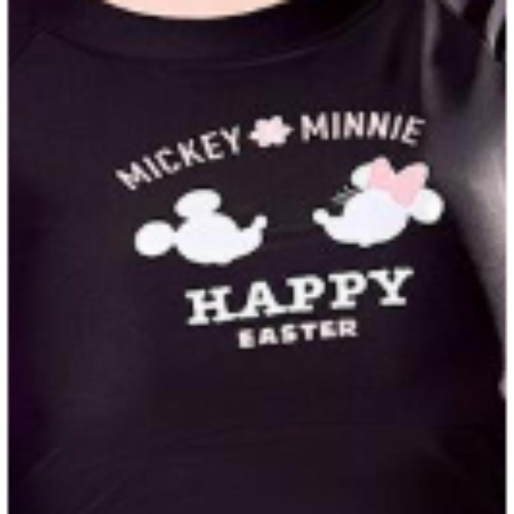 Disney Premium Conservative Beach Resort Round Neck Long Sleeve Two-Piece Swimsuit Women swimsuit D15060SB1E
