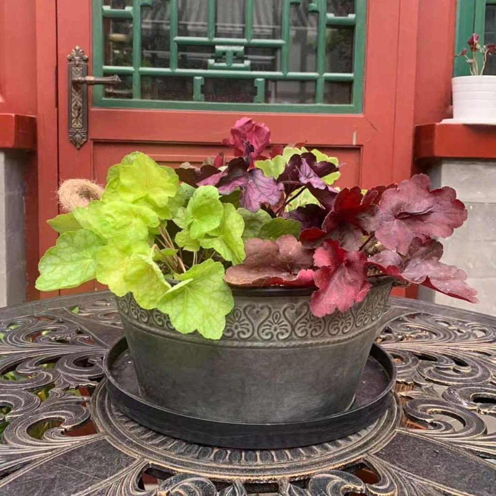 Decorative Tin Pails Metal Planter Garden Decoration Plant Pot Storage Bucket for Bedroom