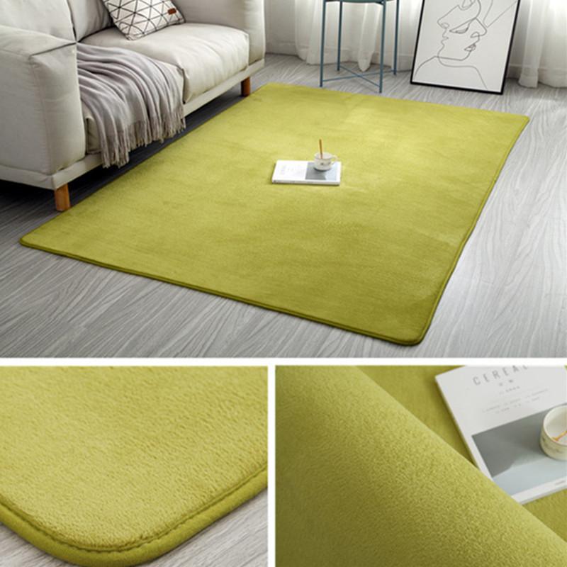 2025 Carpet Living Room Simple Modern Bedroom Plush Carpet Nordic Tatami Carpet