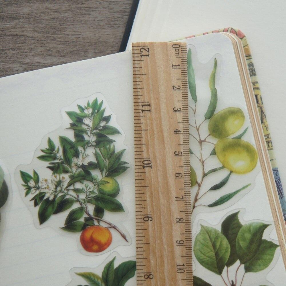 40pcs Yellow Green Red Persimmon Peach Fruit Style Transparent Sticker Scrapbooking DIY Gift Packing Label Gift Decoration Tag