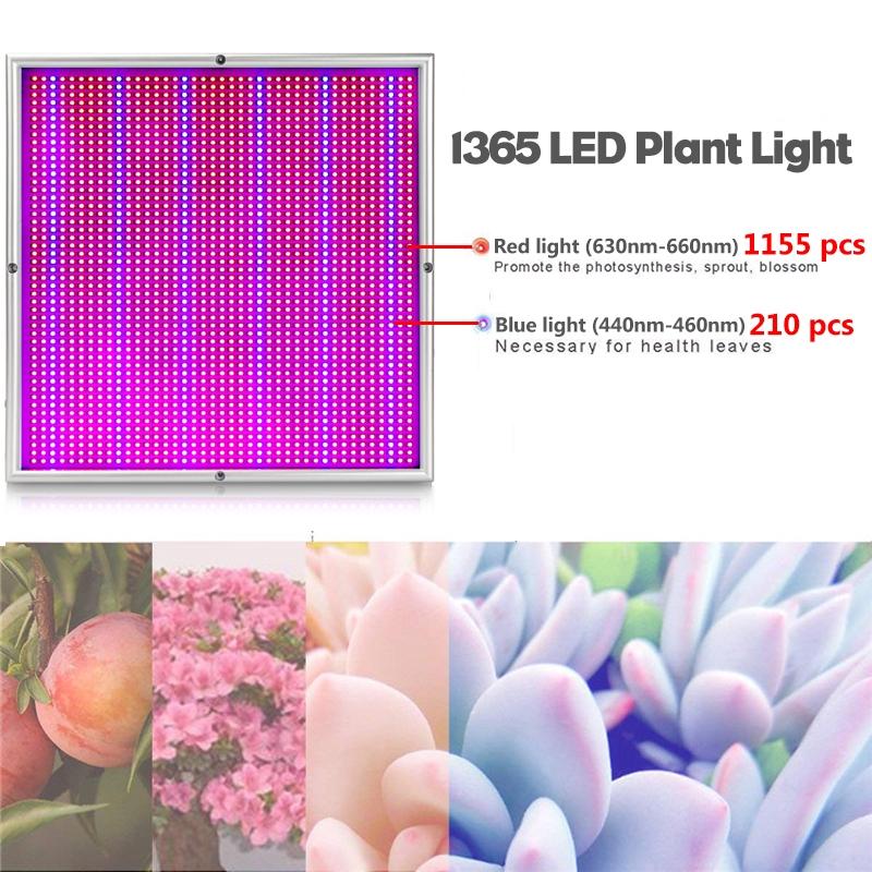 1500W Growing Lamps LED Grow Light 1365 LEDS Full Spectrum for Greenhouse Indoor Hydroponic Plant Seedling Flower Yield