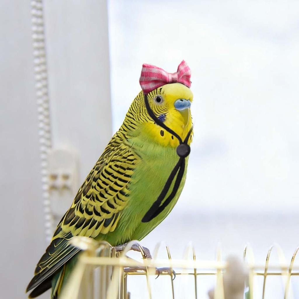 Miaodi Cute Bow Headdress for Pet Birds, Small Pet Decor Bird Supplies