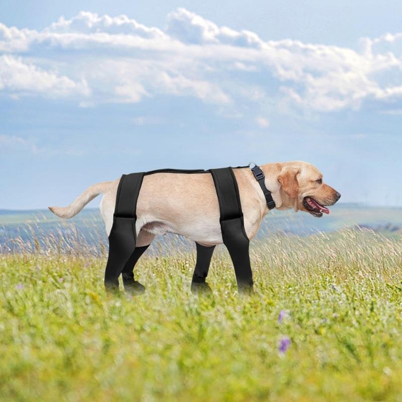 Haustier Hunde Leggings Geeignet für Große, Mittlere und Kleine Hunde Leggings Hosenträger Stiefeletten Winddicht und Wasserdicht Welpe