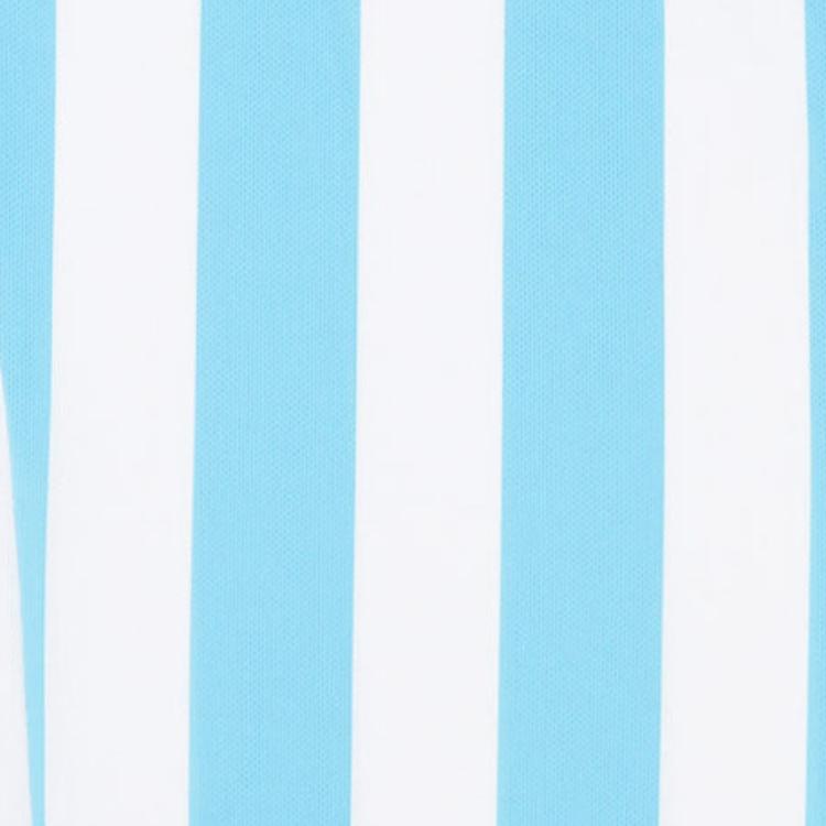 adidas 2015 Argentina Copa America Striped V-Neck Short Sleeve Retro Football Shirt Men Tops Light-Blue AC0326