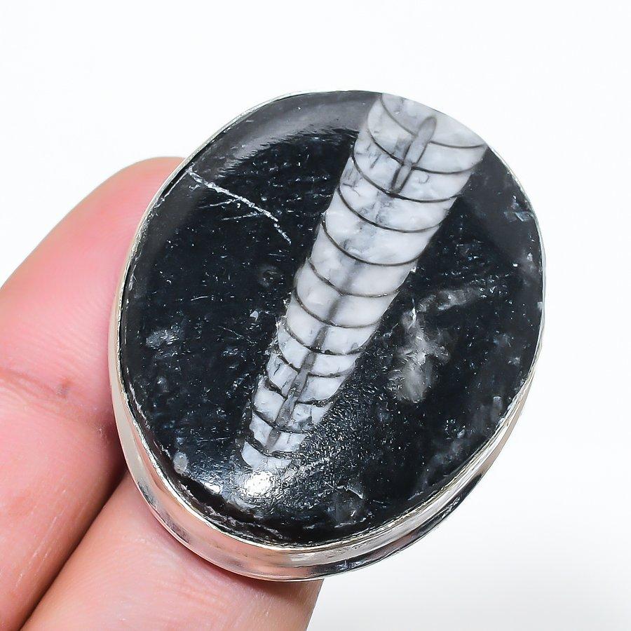 Natural Orthoceras Fossil 925 Sterling Silver Jewelry Ring Size 8.5 AR-17232