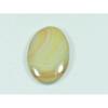 27X40X06MM Natural Polychorme Jasper Oval Cabochon Loose Gemstone 68Cts. G-349