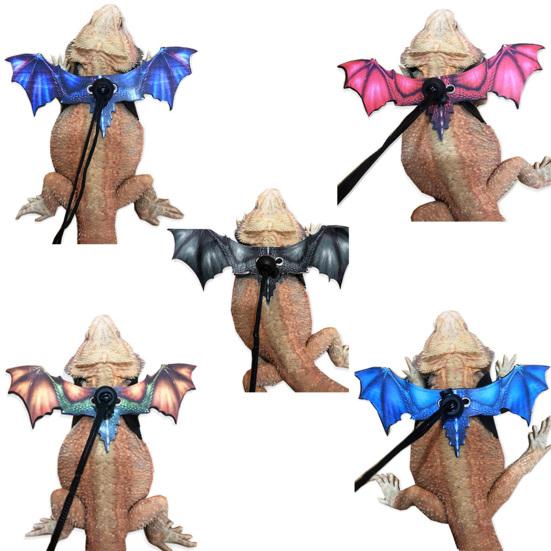 Lizard Leash Anti-Bite Wings Fleksibel Komfortabel skjeggete Drage Sele Kjæledyrsutstyr