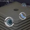 Neuer Bio-Schwammfilter für Aquarium Fischbecken Garnelenteich Luftpumpe Biologische Filtration Geräuschlos Schaum Aquarium Zubehör