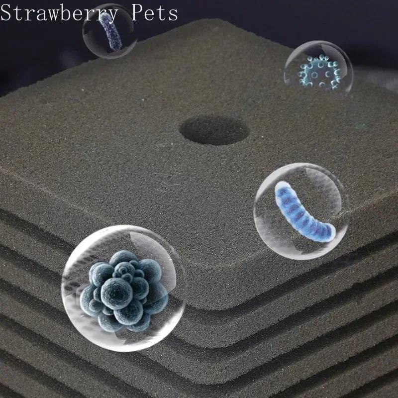Neuer Bio-Schwammfilter für Aquarium Fischbecken Garnelenteich Luftpumpe Biologische Filtration Geräuschlos Schaum Aquarium Zubehör