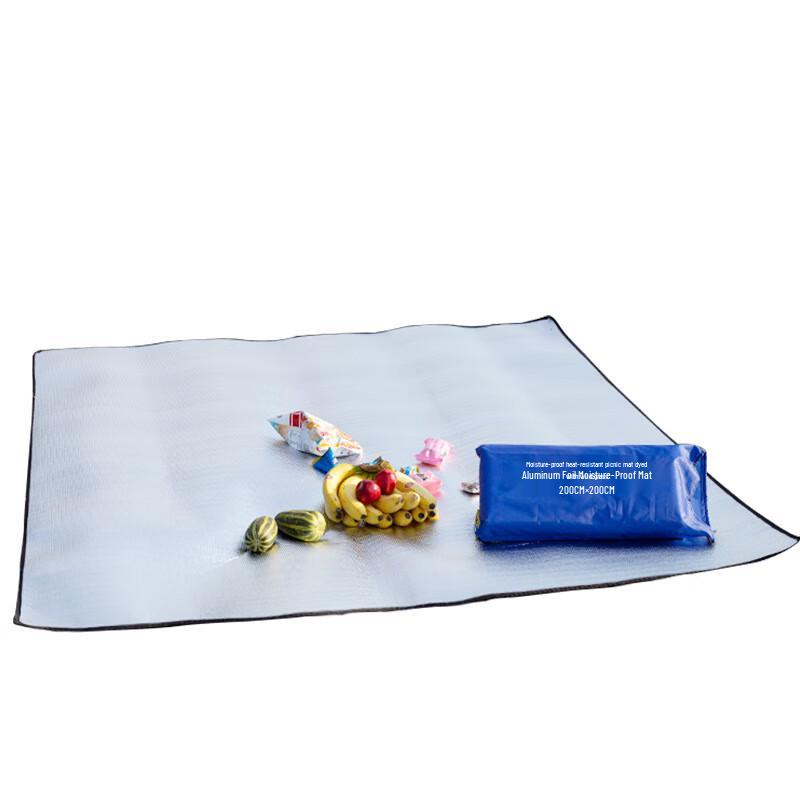 OEING Thick Camping Tent Mat