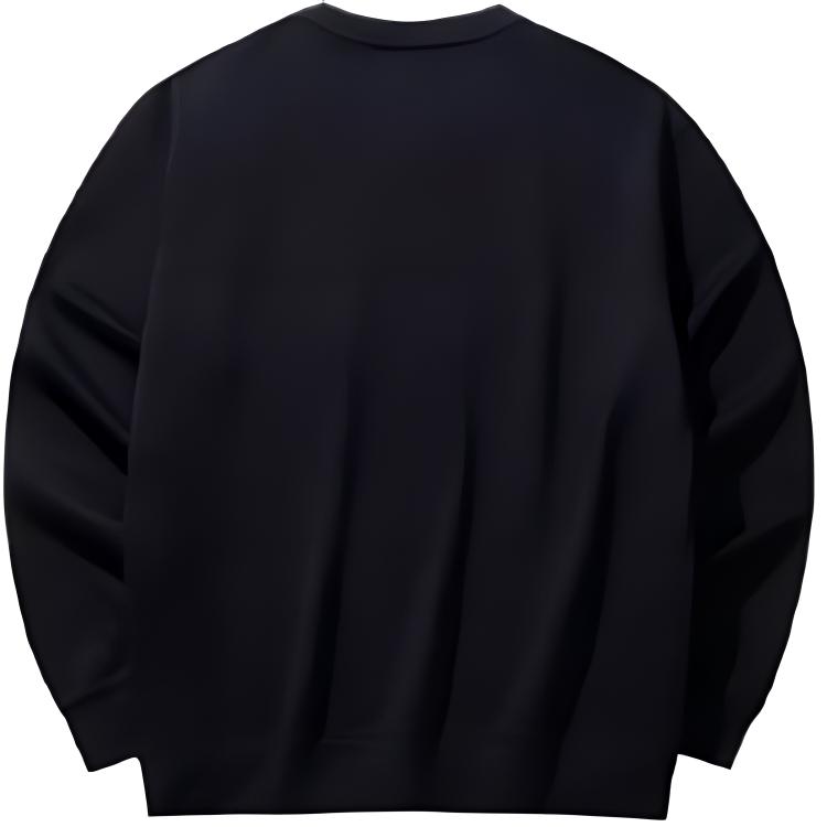 Anta Lifestyle Series Sports Casual Crew Neck Pullover Sweatshirt Men Sweatshirt Black 152448706N-4
