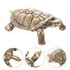 Golden Turtle Statue Sculpture Brass Drawer Decorative Model Figurine Office Vintage