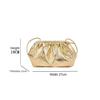 Piccola Borsa Lusso Design Donna Pelle Nuvola Argentata Borsa a Tracolla Oro Femminile Pochette da Festa da Donna Borse da Donna