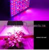 Full Spectrum 25W/45W/65W Greenhouse Indoor Seedling Grow Light