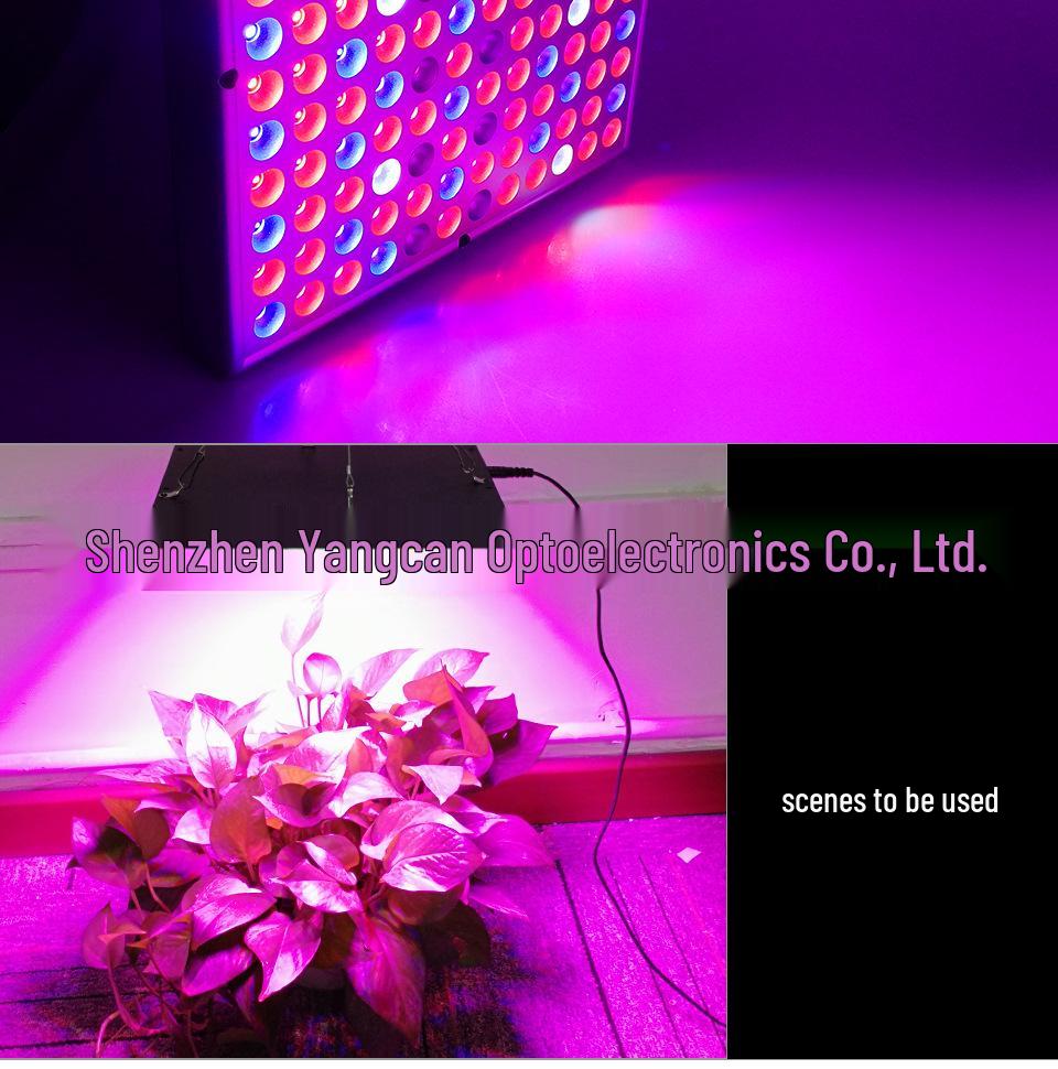 Full Spectrum 25W/45W/65W Greenhouse Indoor Seedling Grow Light
