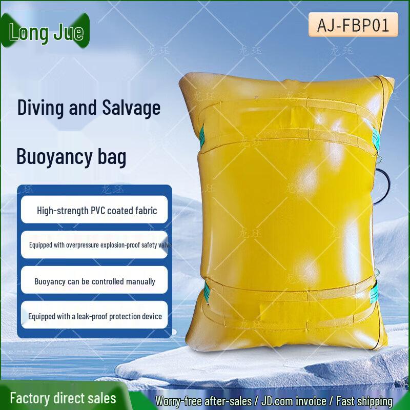Buoyancy Salvage System