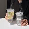 Shangqi Glass Beverage Tumbler Set with Straw and Lid