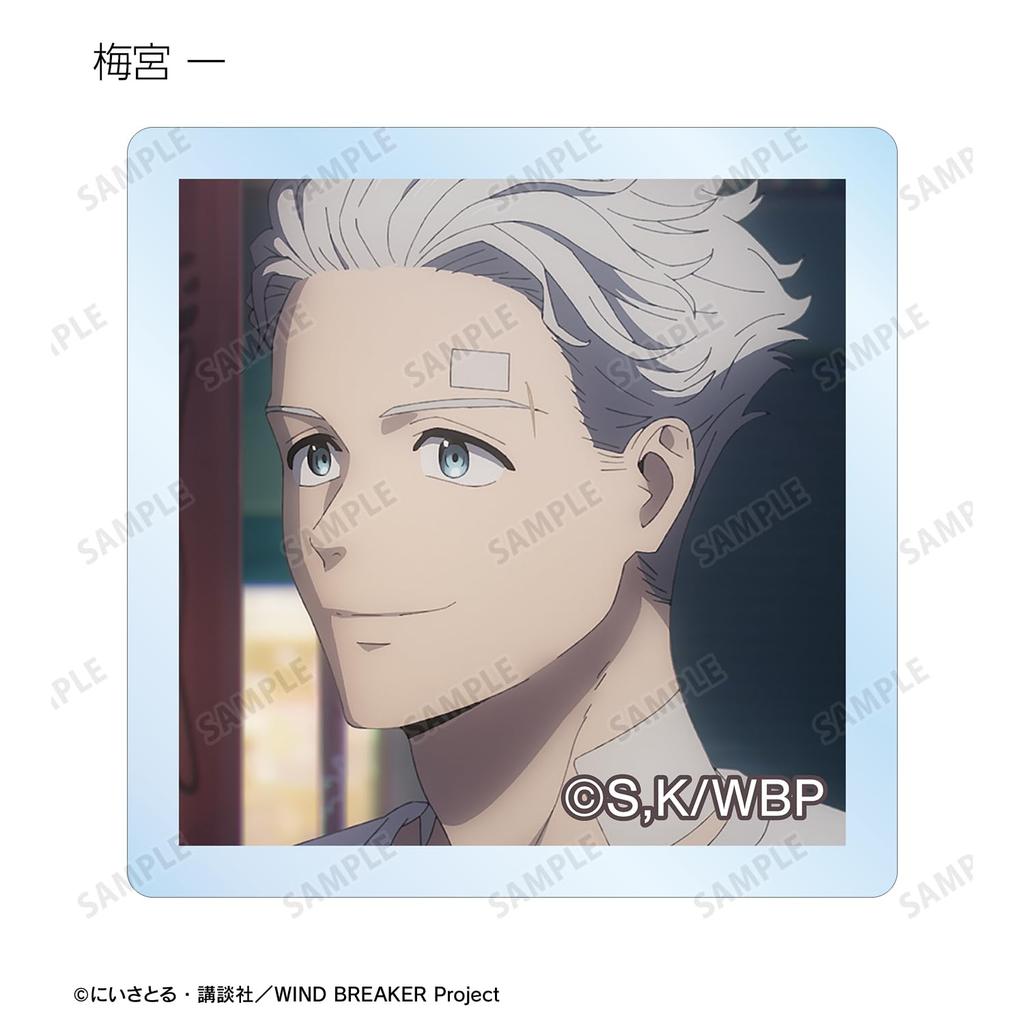 TV Anime "WIND BREAKER" Trading Scene Acrylic Tiles Box of 8