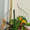 5 STK. Künstliche Grasblätter Blumenarrangement Fotografie Requisite Topfarrangement Mehrere Größen