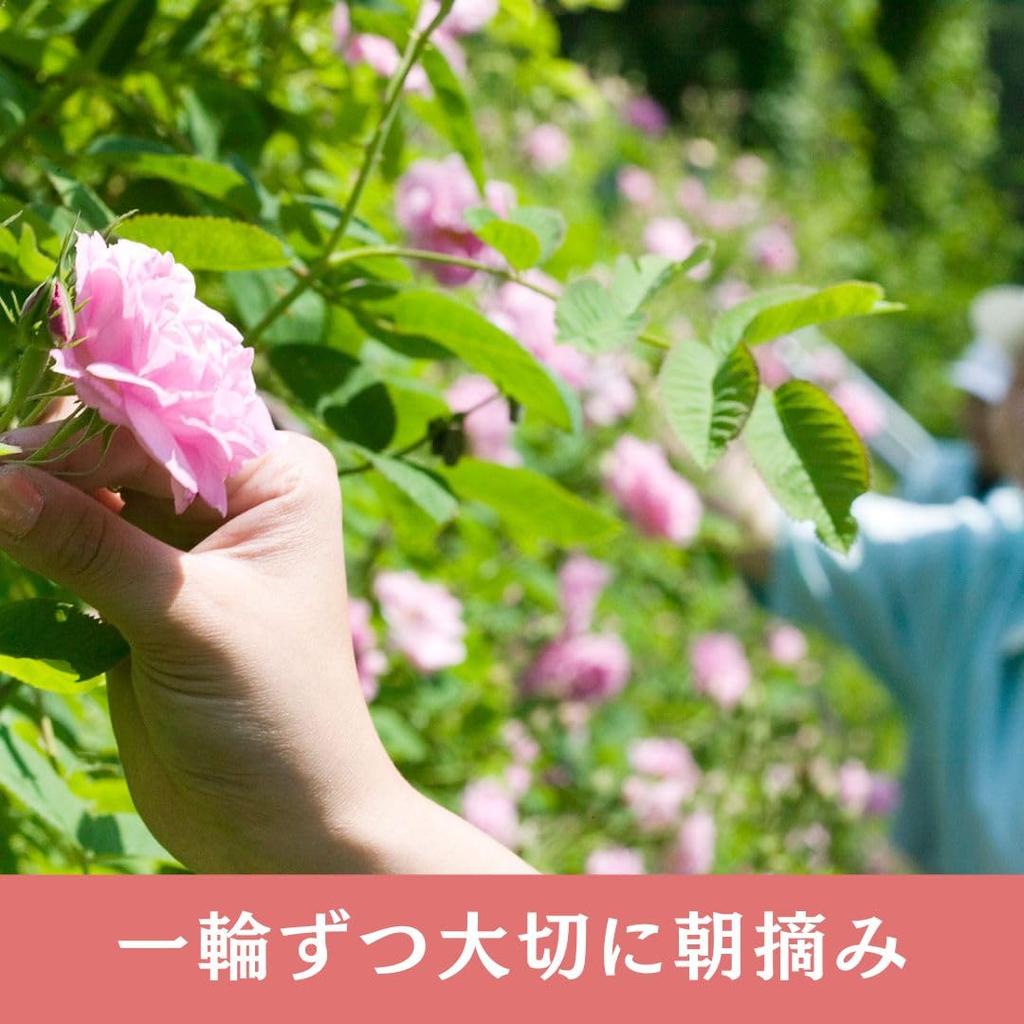 Rosemay Akita Rosengarten Reines Rosenwasser in (Hergestellt in Japan) (Einzelexemplar)