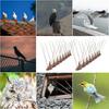 Yousheng 10 Pcs Bird Deterrent Spikes Fence And Wall Spikes Cat Pigeon Deterrent Anti Climb Spikes Stop Birds from Landing for Window Sills Fence