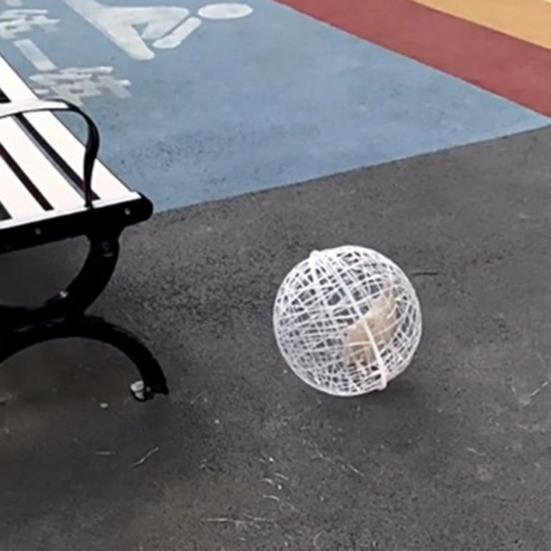 Rullande Kycklingbollbur Avtagbar Kycklingboll Plastnätinhägnad Kycklingar Sfärbur för Frigående Hamstrar Papegojor Kycklingar