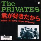 

7inch Record PRIVATES Bye Bye Honey STP17992 SPEARHEAD 1987 Japan Japanese PopRock Used