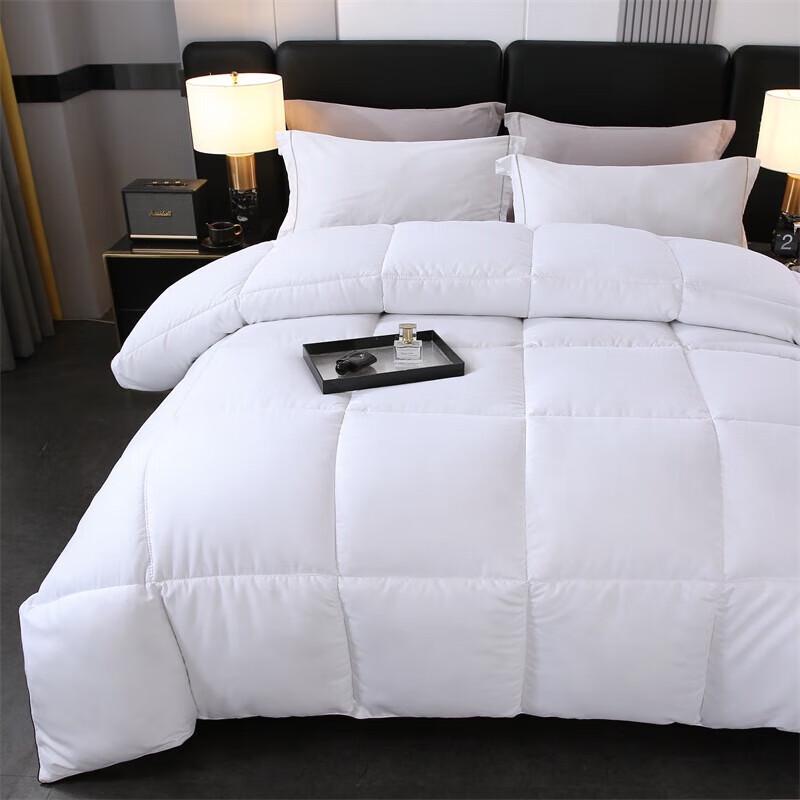 Grace Down Alternative Winter Quilt