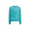 SS24 Sweatshirt Men's Dark Aqua Green CM829-WGX