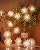 LED-Beleuchtung – LED-Lichterketten und -streifen