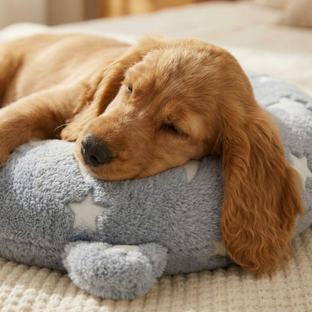 Plush Cat Glowing Pillow Moon Star Dog Sleep Mat Cartoon U-Shaped Pet Pillow  Indoor