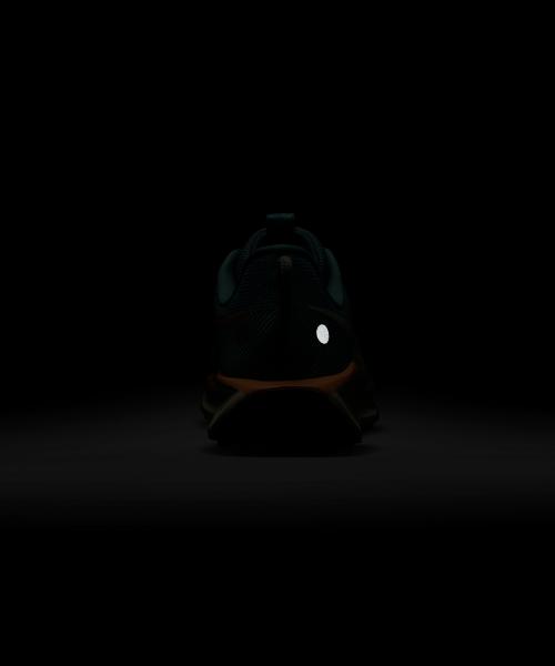 Nike Pegasus Trail 5 W DV3865-010 [Shipped from Korea] 100% Authentic