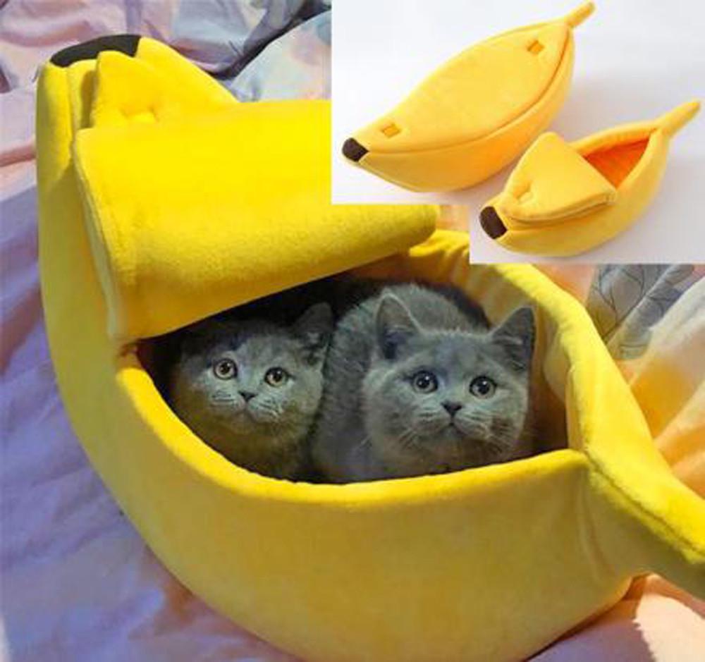 cute cat beds