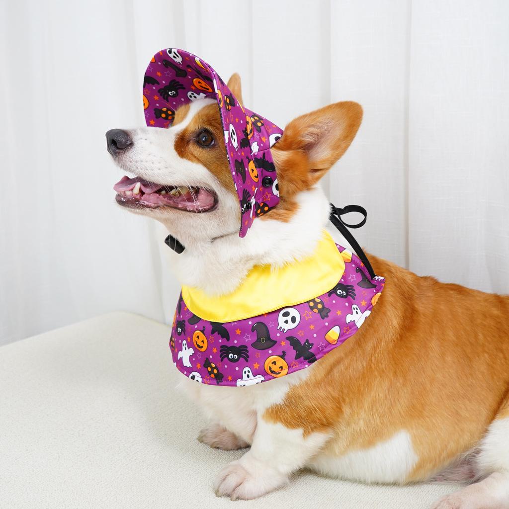 Halloween Pet Costume Set Dog Cat Pumpkin Bat Print Scarf Cape with Hat Adjustable Cosplay Clothes for Party