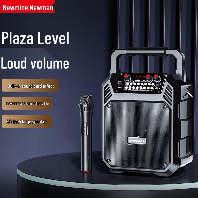 

Newmine K503 Portable Bluetooth KTV Speaker CN plug (adapter included)