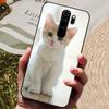 Für Xiaomi Redmi Note 8 Pro Hülle Silikon Rückseite Handyhülle für Redmi Note8 Pro 8Pro Hüllen Redmi Note 8 Pro Weicher Stoßfänger coque
