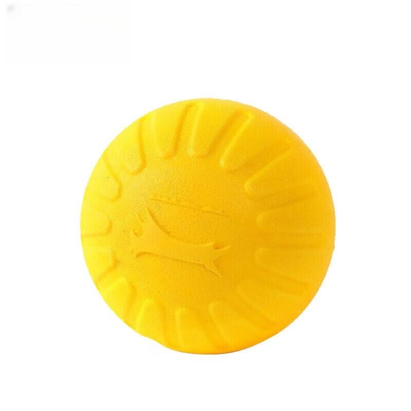 Durable Dog Training & Outdoor Play Toys