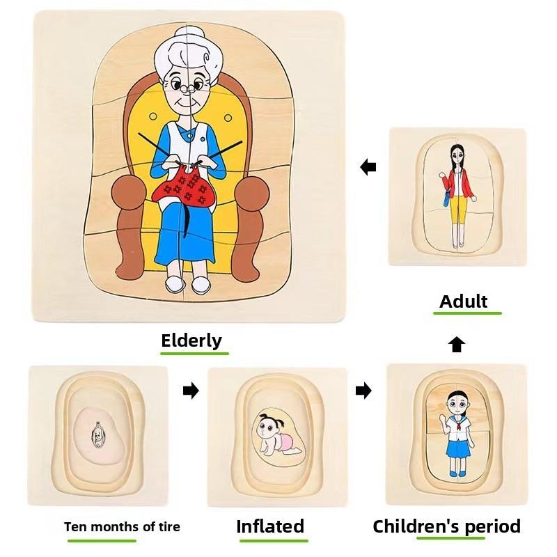 

Kids Wooden Animal Growth Cycle Puzzle Educational Toy For Kids Education Early Woman Puzzle