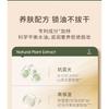 TOM MARK - Matcha Longwear Air Cushion Cream Foundation with Refill - 4 Shades