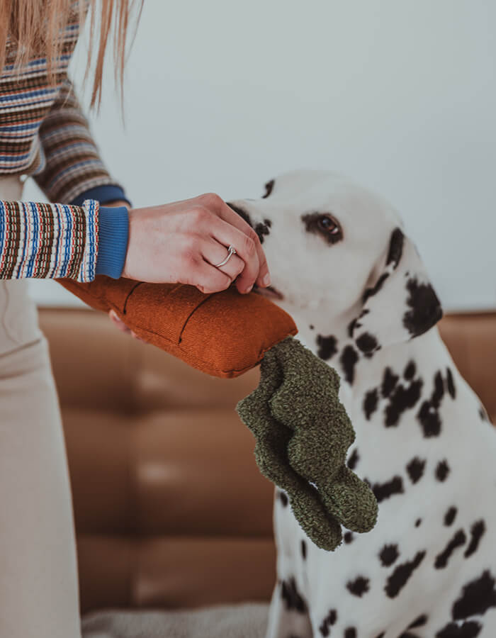 Carrot Sniffing/Activation Toy For Dogs