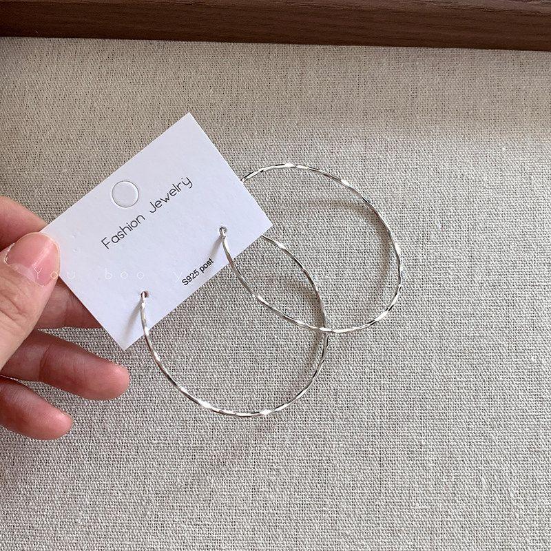 

New European and American Style Plain Hoop Earrings for Women, Bold and Stylish, Make the Face Look Smaller, Unique, Light Luxury, High-End Earrings Silver Plain Hoop - Sterling Silver Needle