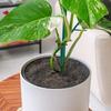 4Pcs Tree Mulch Rings Flower Pot Plant Moisturize Protector Mats Breathable Weeds Barrier Gardening Plant Cover Cushions
