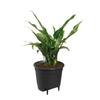 ELHO Pot de fleurs Self-watering Insert 28 living - Ø27,7 x H25,5 cm - Noir