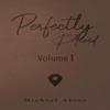 Perfectly Placed by Michael Abreo Paperback Book 9781638296737