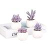 Purple Fake Succulent Potted Plant Simulation Succulent Plant Mini Fake Flower Small Bonsai Store Decoration Home Decoration
